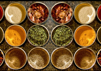 【转】毛里求斯最新玩法以及酒店挑选攻略