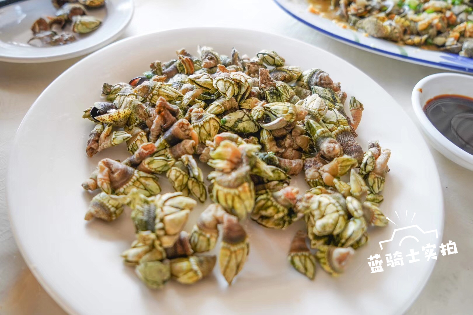 【转】珠海外伶仃岛实用旅游攻略,教你玩转海岛!