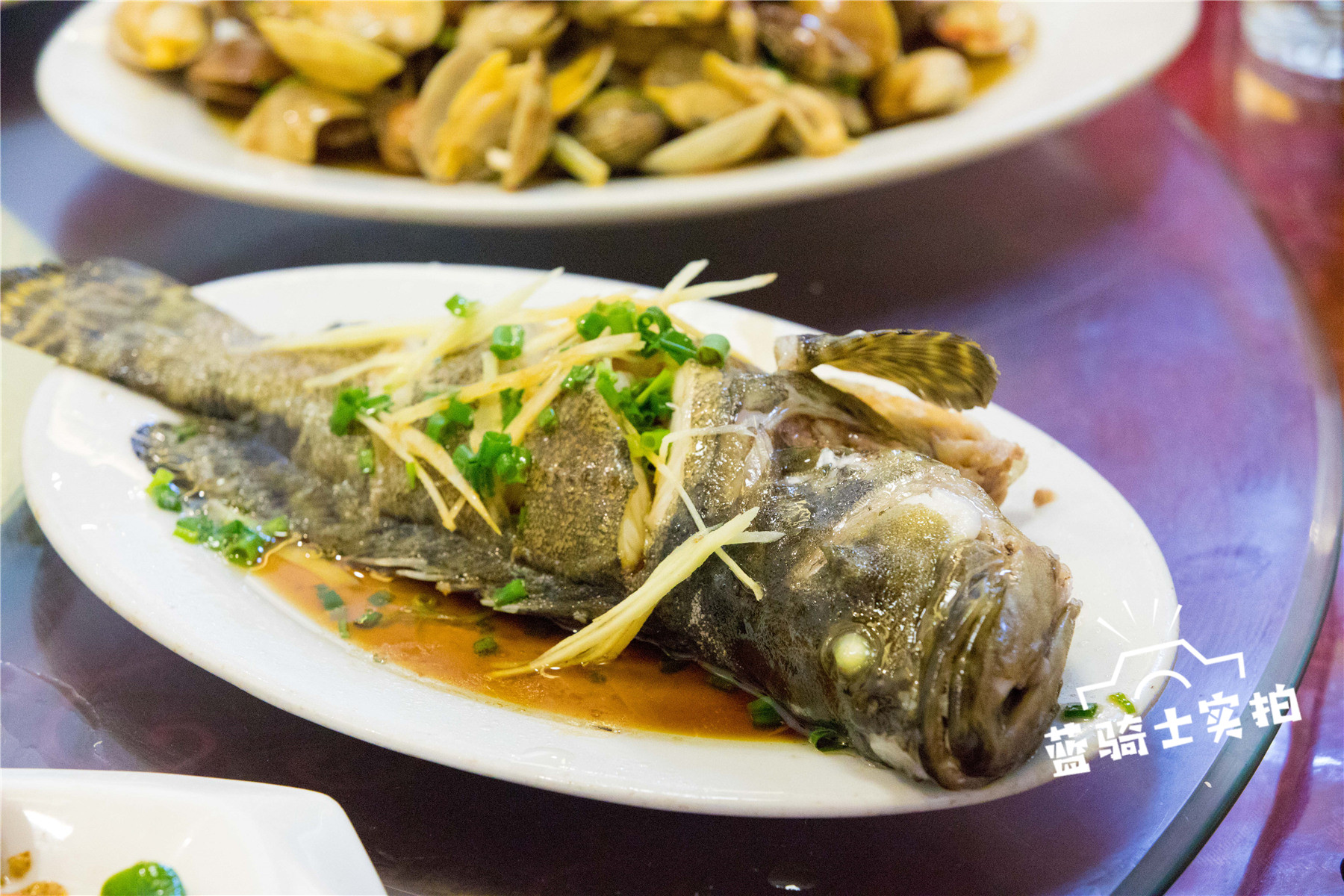 【转】珠海外伶仃岛实用旅游攻略,教你玩转海岛!