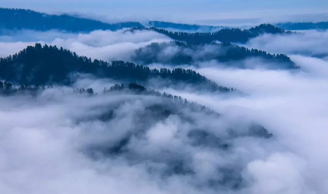 【转】初秋瓦屋山:邂逅日出和云海,感受无处安放的小激动~