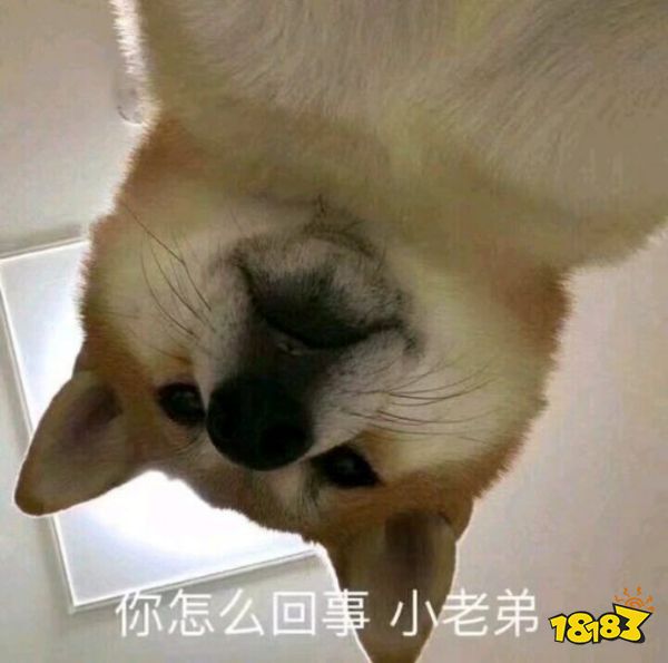 每周方块:老玩家都不敢说认全这5种泥土方块