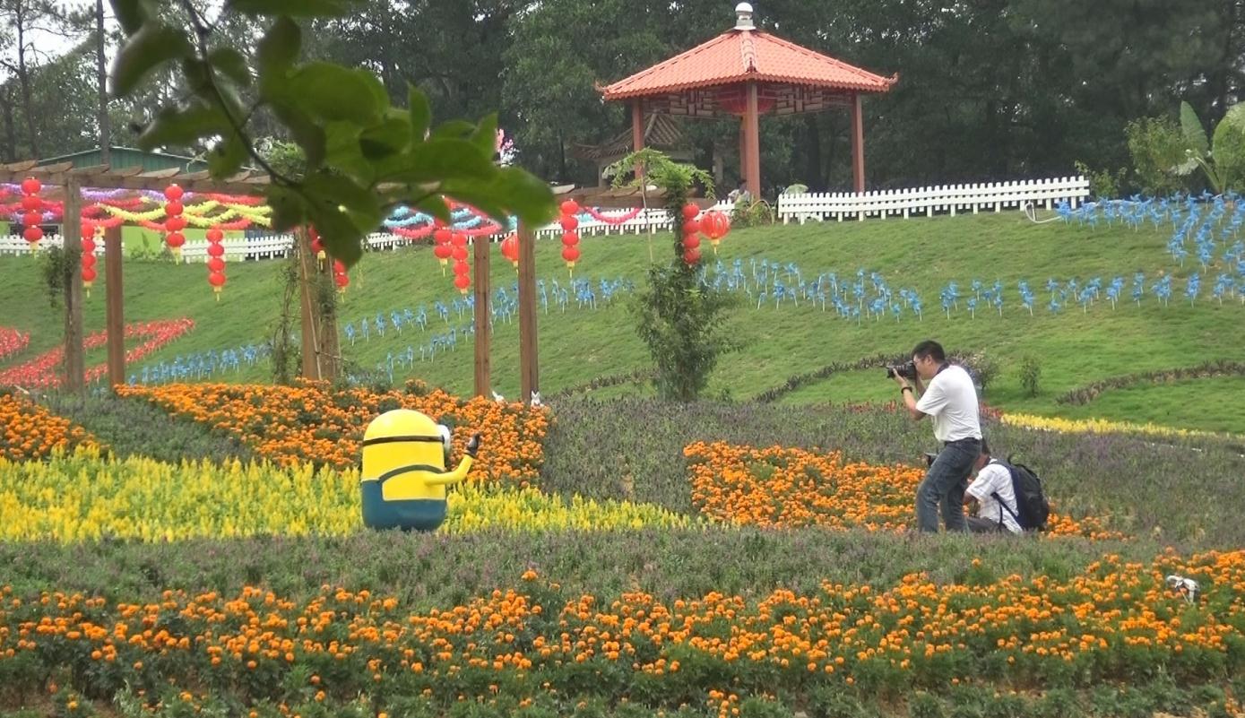 2016中山(泉林)四季花海欢乐嘉年华火爆进行