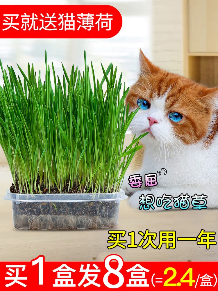 3元耳机+超便宜U盘32G+美菱取暖器+特价脑白金+四舍五入不要钱系列 9.17剁手信息