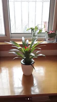 |▍自曝┆一月活动 ▍|▍你眼中的生活