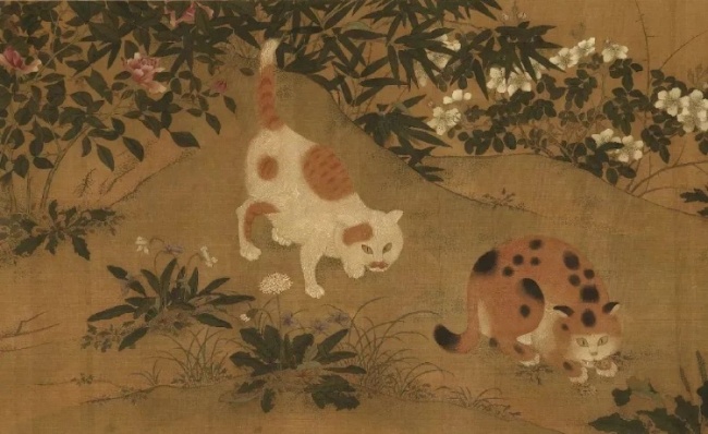吃得好,住得好!来看宋朝的猫过得有多体面