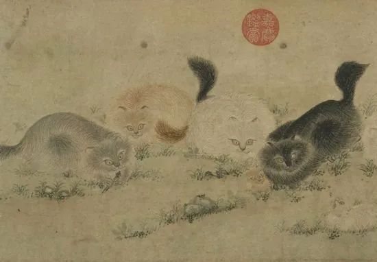 吃得好,住得好!来看宋朝的猫过得有多体面