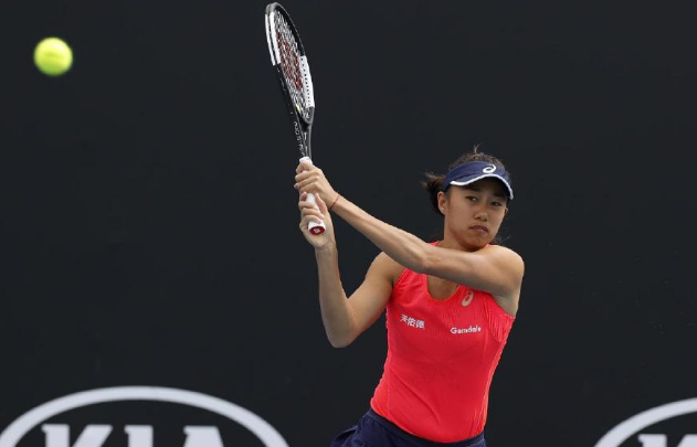 张帅挽救7赛点仍遭NO.90大逆转 澳网后首败无缘迪拜赛正赛