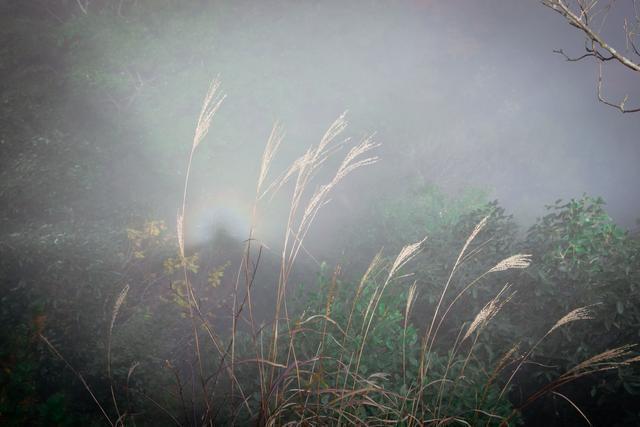 【转】江西安福羊狮慕景区
