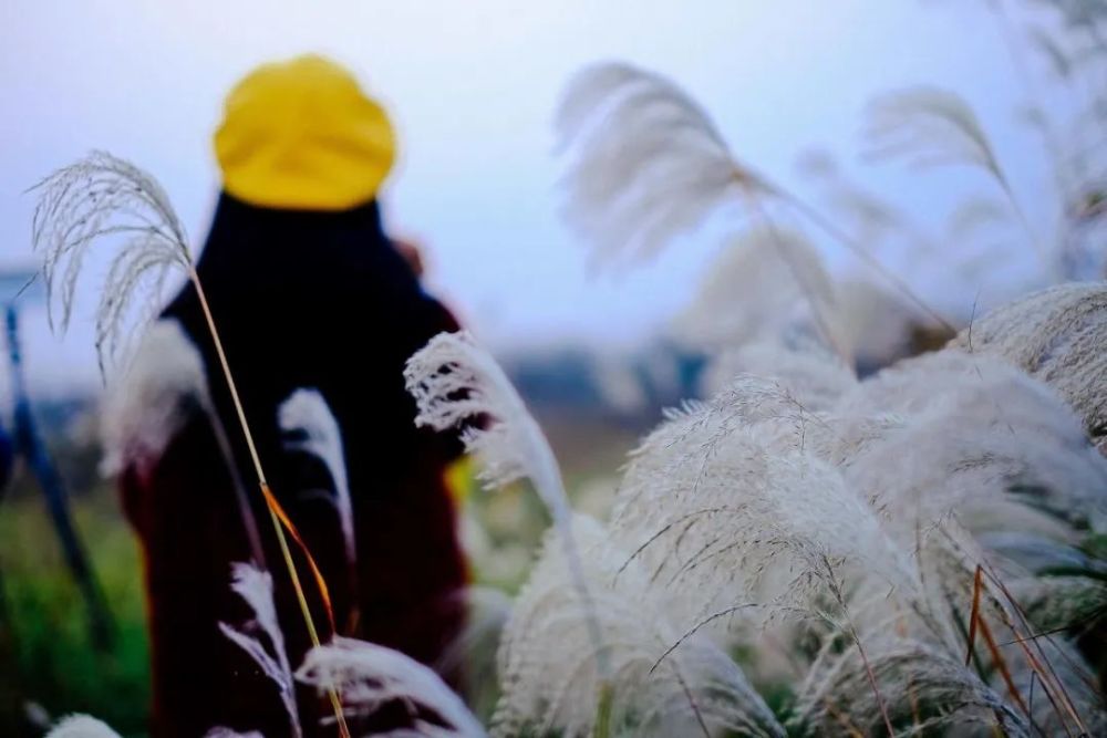 【转】秦时明月,大漠孤烟——魅力甘肃