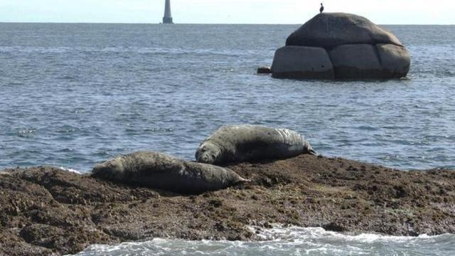 【转】世界最小海岛只有700平米,泰坦尼克号经过这里