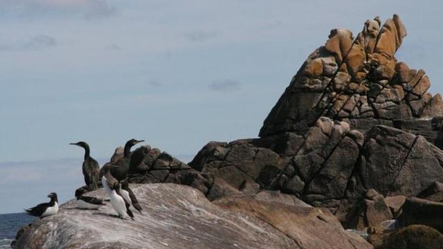 【转】世界最小海岛只有700平米,泰坦尼克号经过这里