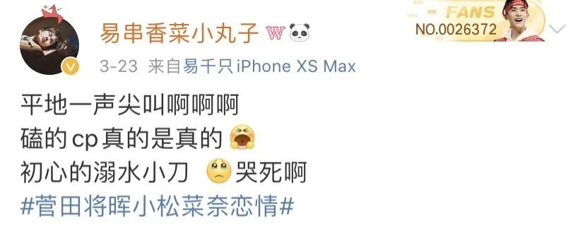 当你嗑的cp成真了……爽!