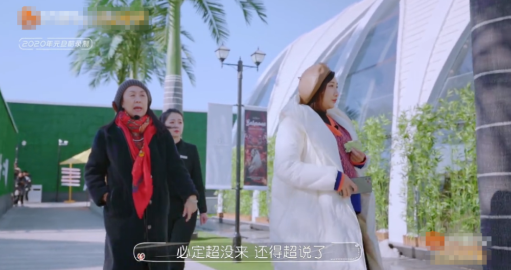 何雯娜,你到底图啥?