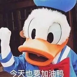 尹正发福成“姨太太”,潘粤明解锁“胖八一”,球球他们,别吃了!