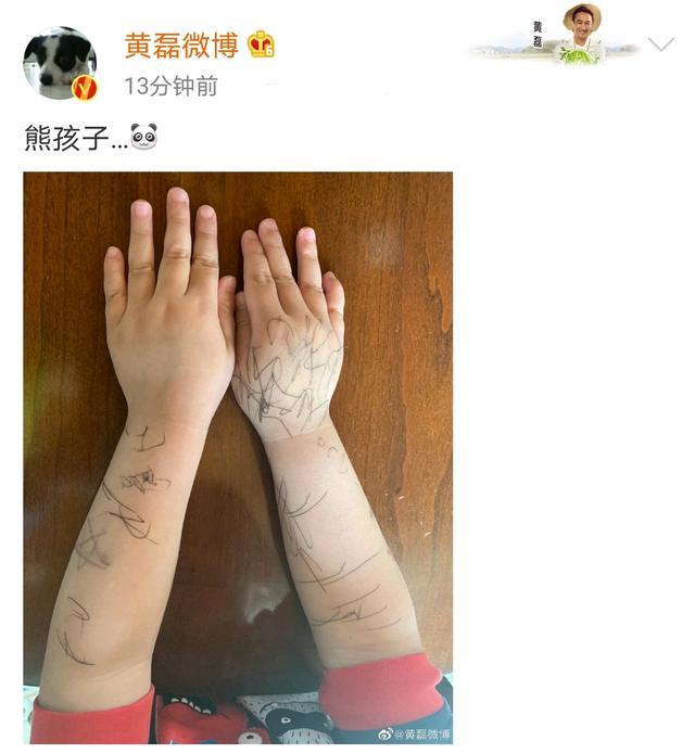 黄磊罕见晒三胎儿子,弟弟在手臂上涂鸦,被爸爸吐槽是“熊孩子”