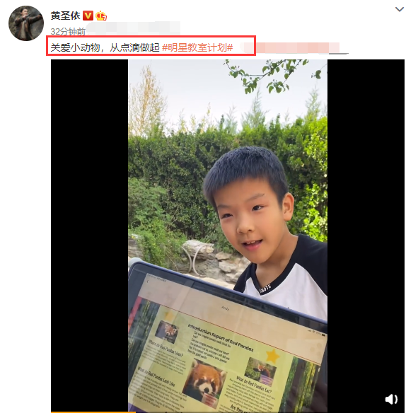 黄圣依晒儿子作业成果,8岁安迪全英文报告获赞,一家都是学霸