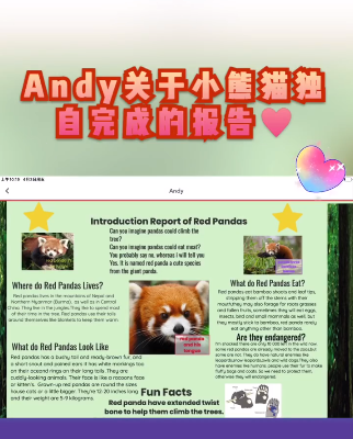 黄圣依晒儿子作业成果,8岁安迪全英文报告获赞,一家都是学霸