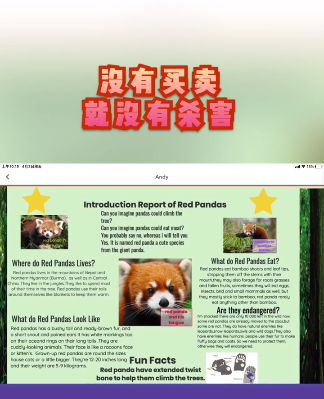 黄圣依晒儿子作业成果,8岁安迪全英文报告获赞,一家都是学霸