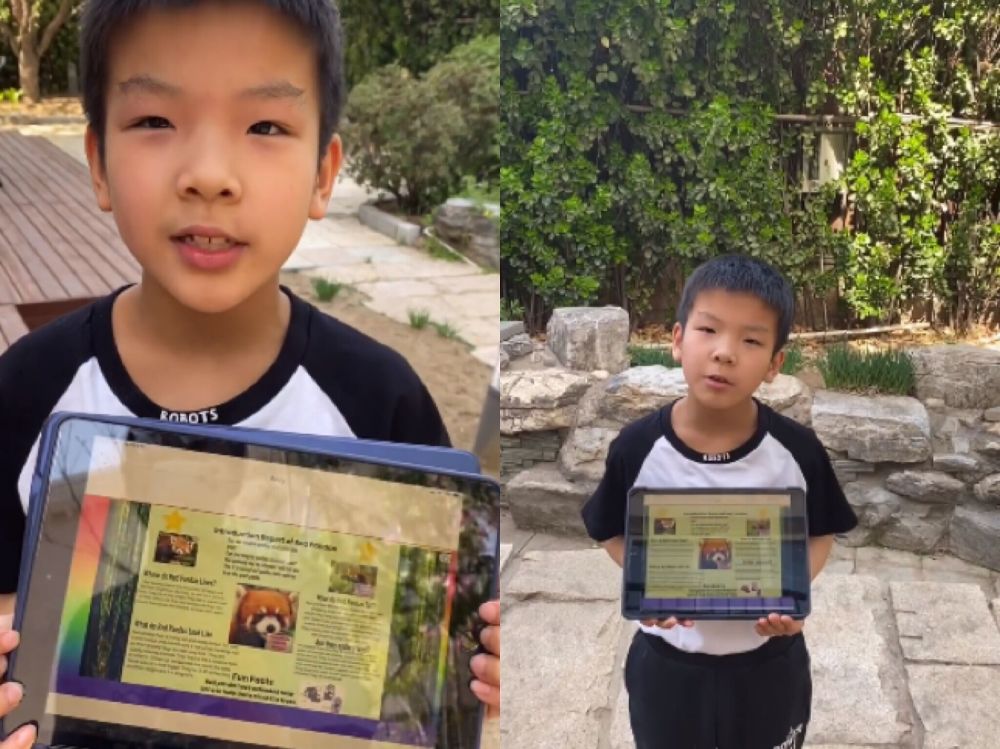 黄圣依晒儿子作业成果,8岁安迪全英文报告获赞,一家都是学霸