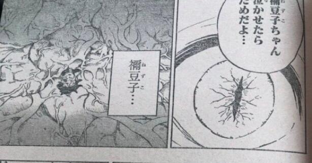 鬼灭之刃202:鬼王炭治郎扑倒祢豆子,香奈乎为救炭治郎双目失明