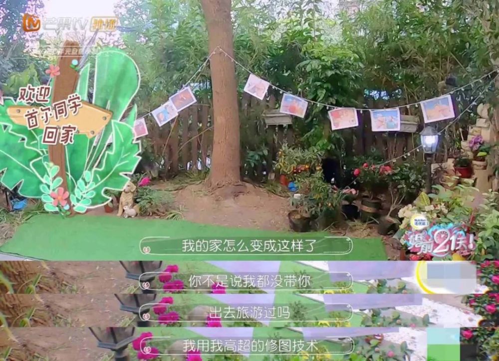 绕过吴尊的“烦”,何雯娜的“虐”,我被这对搞笑夫妻“暖”到了!