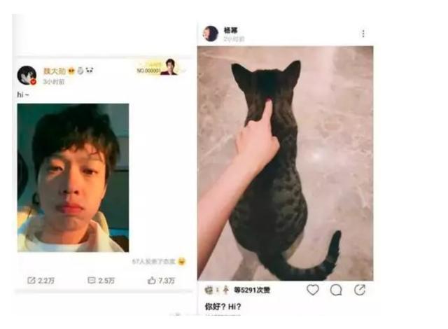 杨幂和魏大勋实锤来了!女顶流要是为爱掉粉,值得吗?