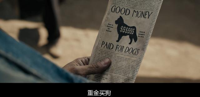 经典名著+顶级团队,演绎史上最伟大的狗狗故事