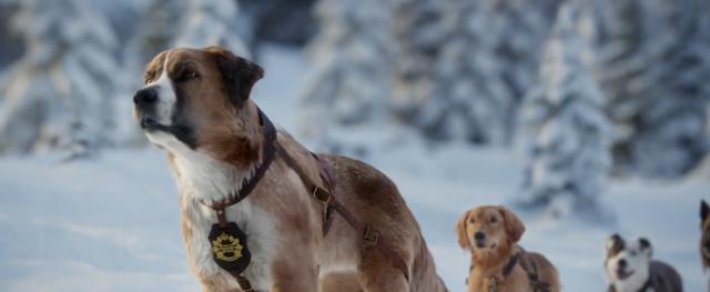 经典名著+顶级团队,演绎史上最伟大的狗狗故事