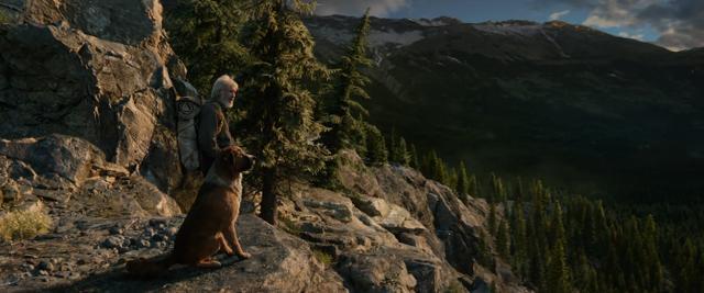 经典名著+顶级团队,演绎史上最伟大的狗狗故事