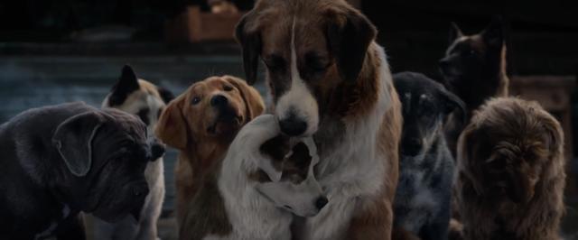 经典名著+顶级团队,演绎史上最伟大的狗狗故事