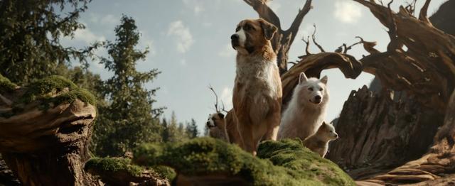 经典名著+顶级团队,演绎史上最伟大的狗狗故事