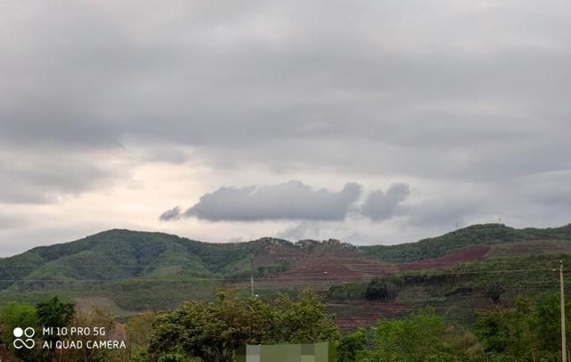 沙雕三兄弟现状,魏大勋忙恋爱,王大陆路边卖咖啡,彭昱畅拍综艺