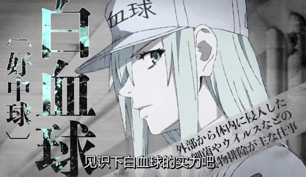 大人版《工作细胞》上线,白细胞姐姐美到窒息,为了身体要规律生活!