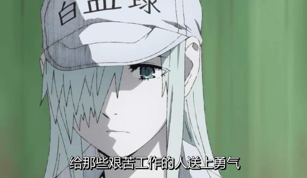 大人版《工作细胞》上线,白细胞姐姐美到窒息,为了身体要规律生活!