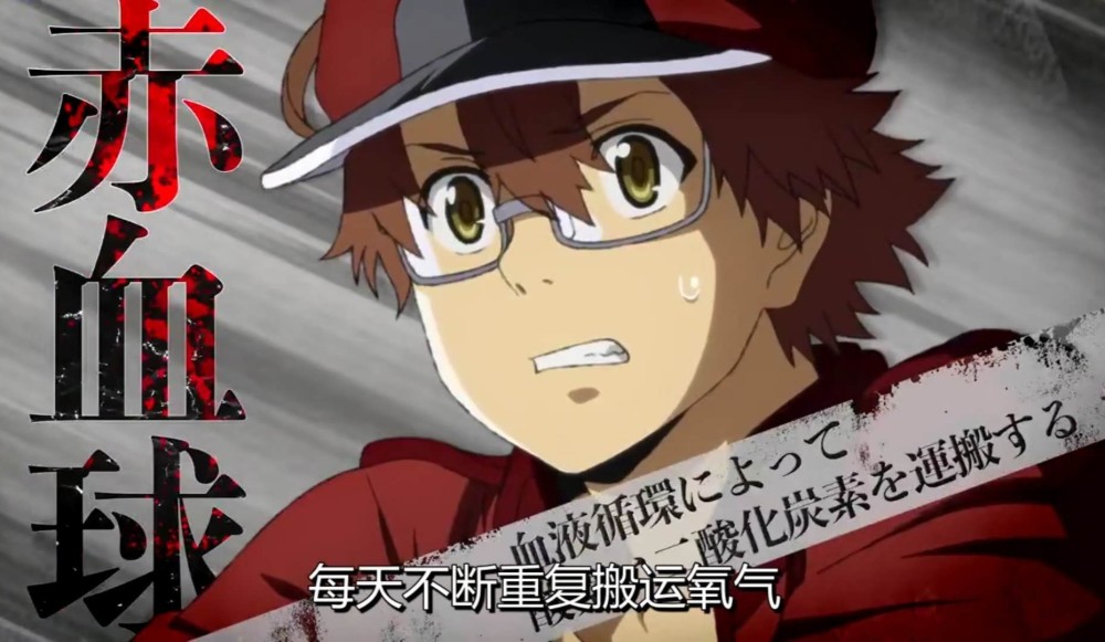 大人版《工作细胞》上线,白细胞姐姐美到窒息,为了身体要规律生活!