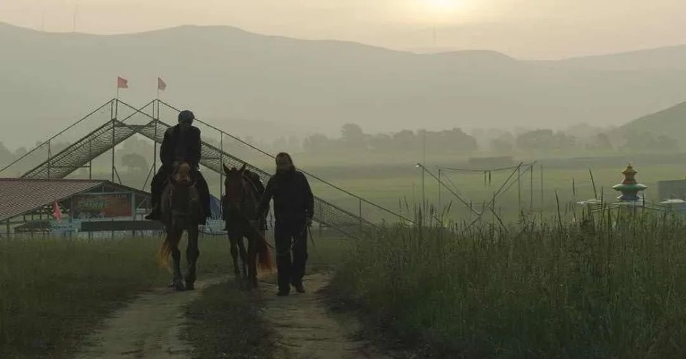 【2020戛纳片单公布】今年全球最值得期待电影大集结