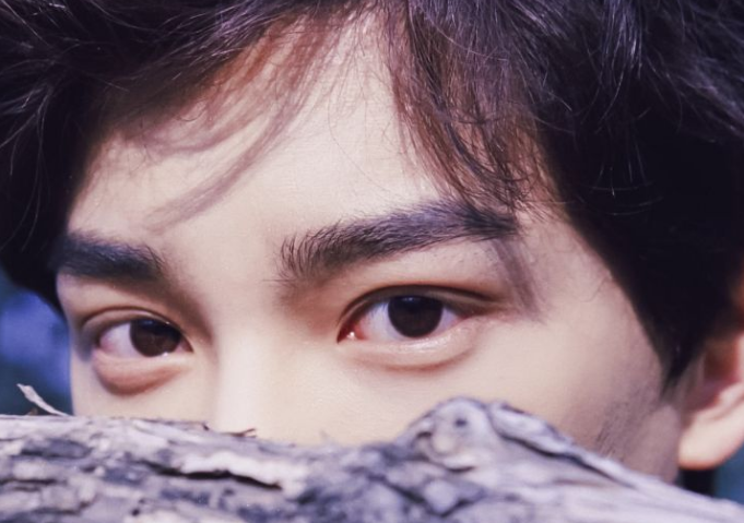 《传闻中的陈芊芊》男主丁禹兮长相丑?还是某些人不懂美?