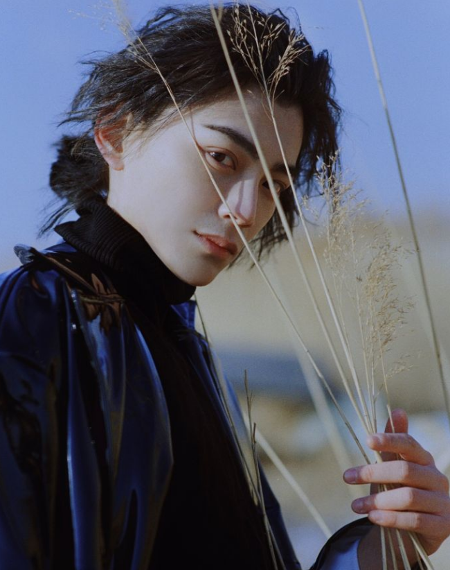 《传闻中的陈芊芊》男主丁禹兮长相丑?还是某些人不懂美?