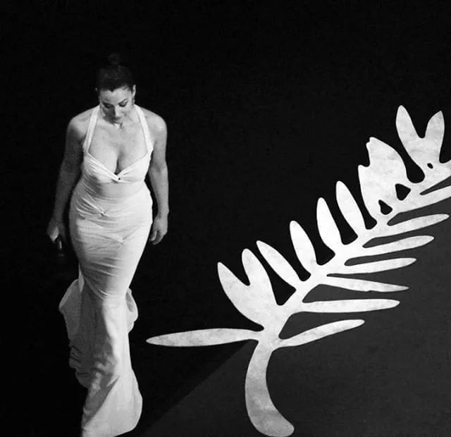 【戛纳】56部入围名单出炉,哪些电影值得一看?