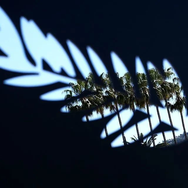 【戛纳】56部入围名单出炉,哪些电影值得一看?