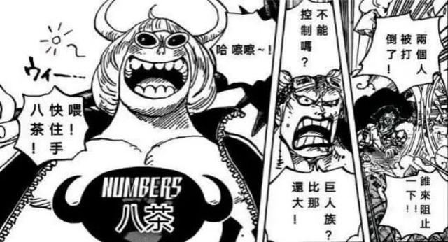 海贼王981话:伏笔狂魔尾田又来了,时隔15年,填上一个巨坑