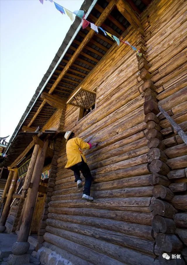 杨姓女星竟然是陈芊芊后人?曾帮助章子怡上位,反被LXL母亲撬了男友
