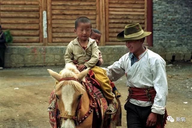 杨姓女星竟然是陈芊芊后人?曾帮助章子怡上位,反被LXL母亲撬了男友