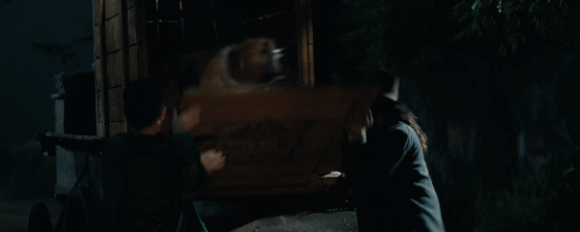 经典名著+顶级团队,演绎史上最伟大的狗狗故事