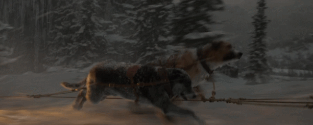 经典名著+顶级团队,演绎史上最伟大的狗狗故事