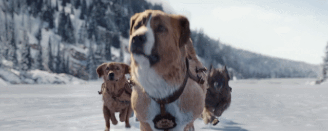 经典名著+顶级团队,演绎史上最伟大的狗狗故事