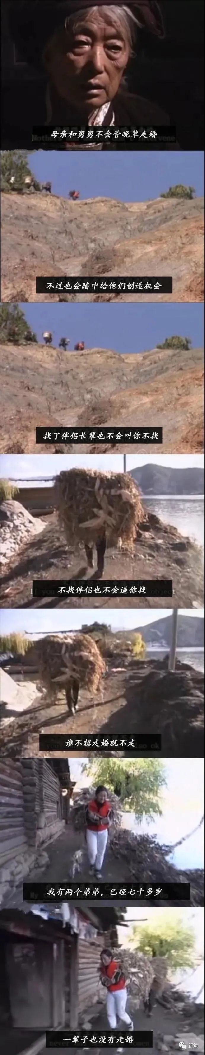 杨姓女星竟然是陈芊芊后人?曾帮助章子怡上位,反被LXL母亲撬了男友