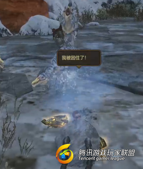 委托板讲解师:G1一星“龙王家族”