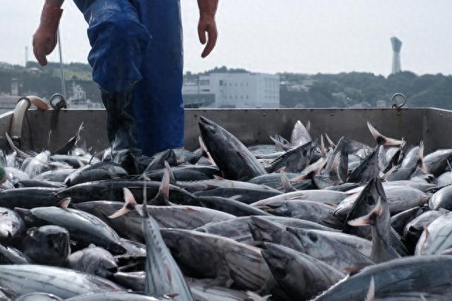 【萌喵】【转】早安·世界|抗议无效,核污水排海!日本多个产业将为之买单