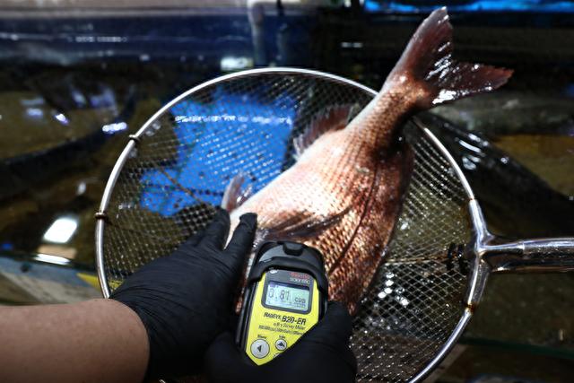 【萌喵】【转】早安·世界|抗议无效,核污水排海!日本多个产业将为之买单